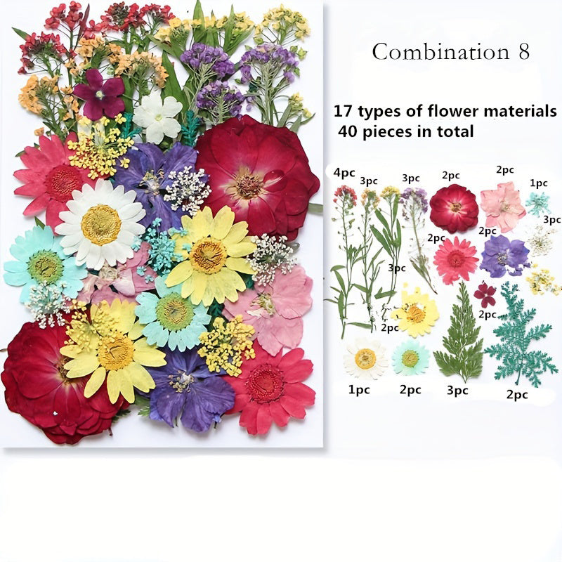 1pc Mixed Color Real Dried Pressed Flowers Set for DIY Arts and Crafts - Craft Kits for Adults Age 14+