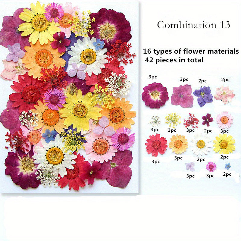 1pc Mixed Color Real Dried Pressed Flowers Set for DIY Arts and Crafts - Craft Kits for Adults Age 14+