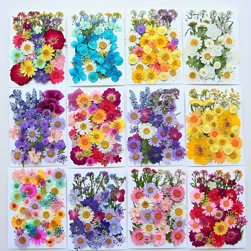 1pc Mixed Color Real Dried Pressed Flowers Set for DIY Arts and Crafts - Craft Kits for Adults Age 14+