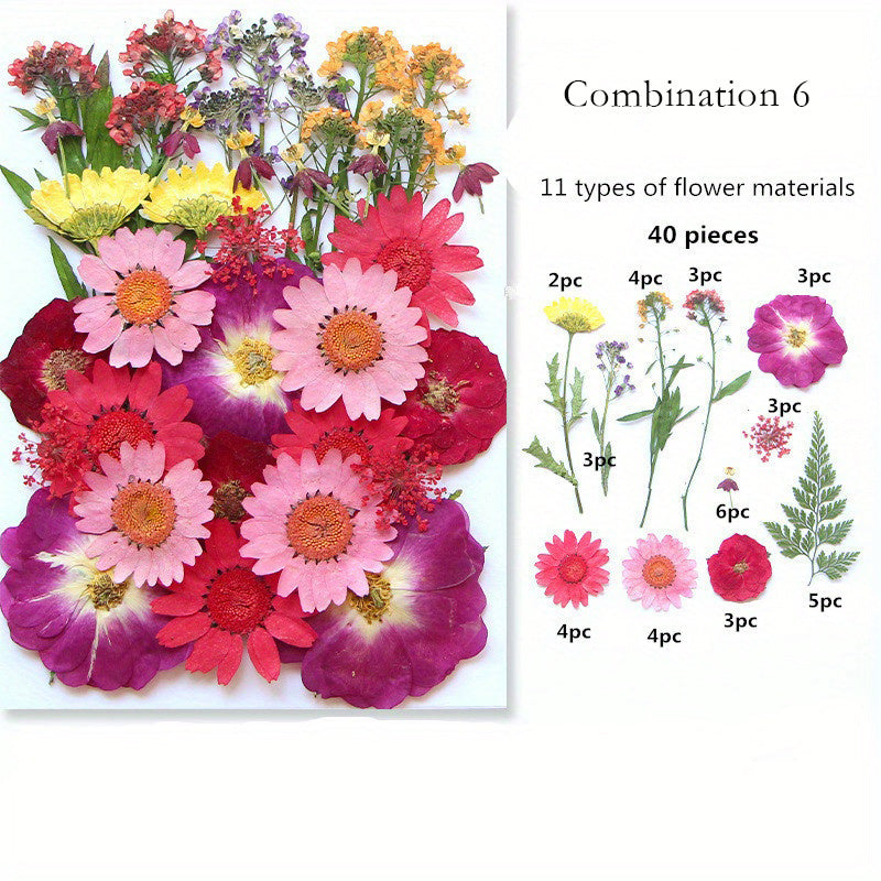 1pc Mixed Color Real Dried Pressed Flowers Set for DIY Arts and Crafts - Craft Kits for Adults Age 14+