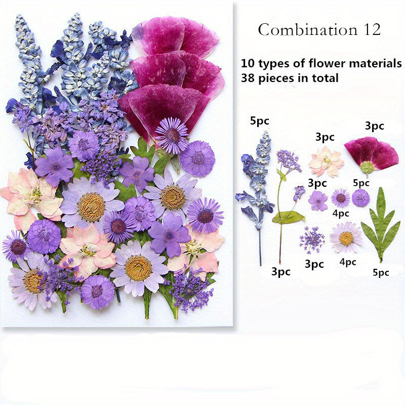 1pc Mixed Color Real Dried Pressed Flowers Set for DIY Arts and Crafts - Craft Kits for Adults Age 14+