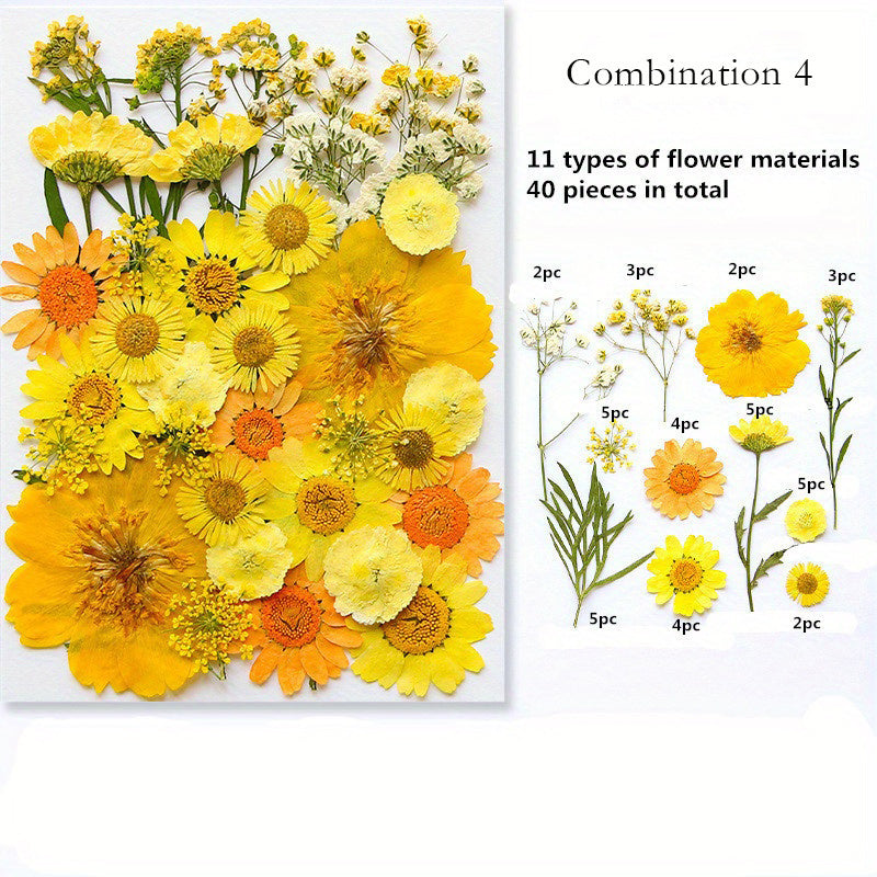 1pc Mixed Color Real Dried Pressed Flowers Set for DIY Arts and Crafts - Craft Kits for Adults Age 14+