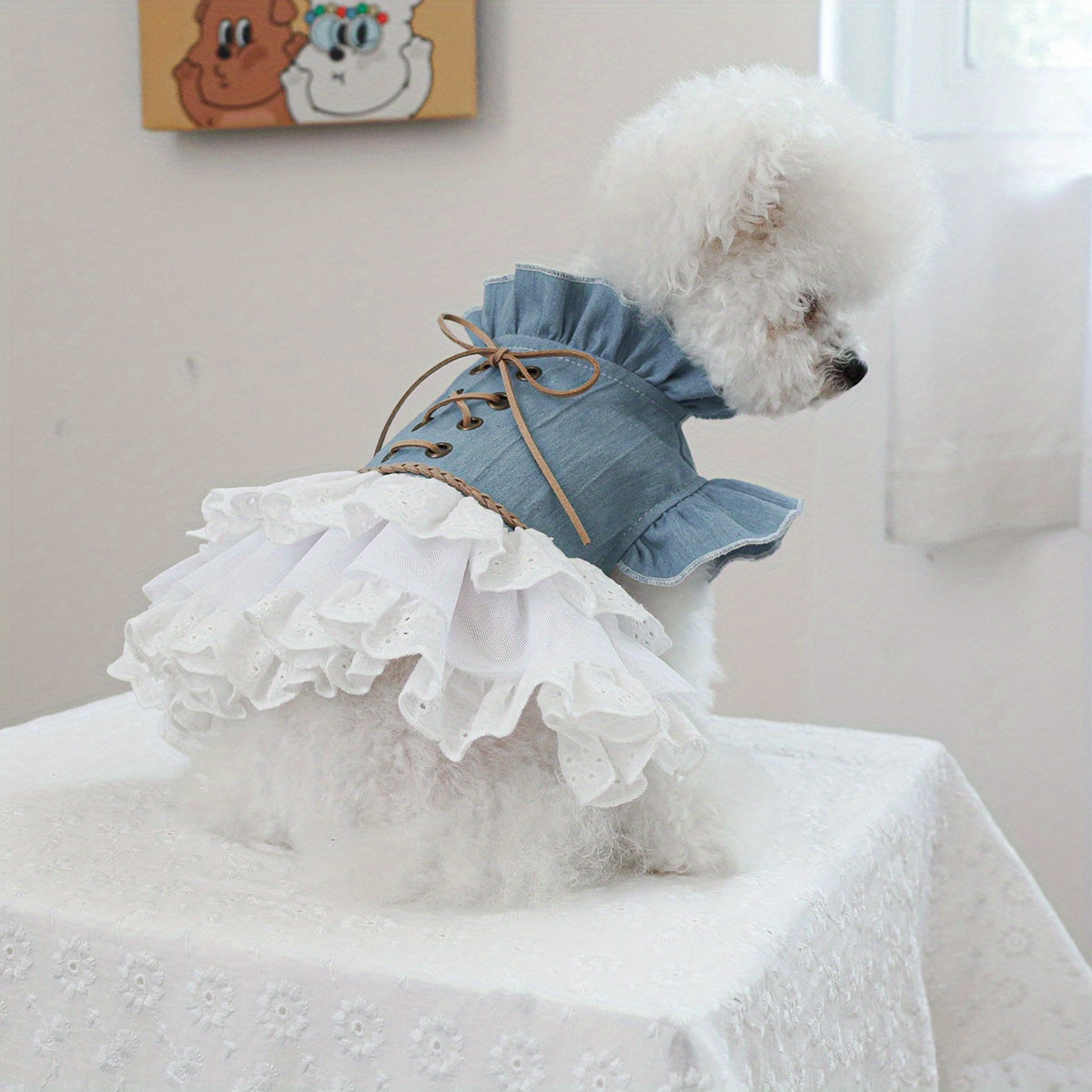 Stylish denim pet dress for small dogs and cats in blue with white fur, ruffled skirt, and lace detail. Ideal for Teddy, Bichon, Pomeranian puppies. Great gift for autumn/winter fashion.