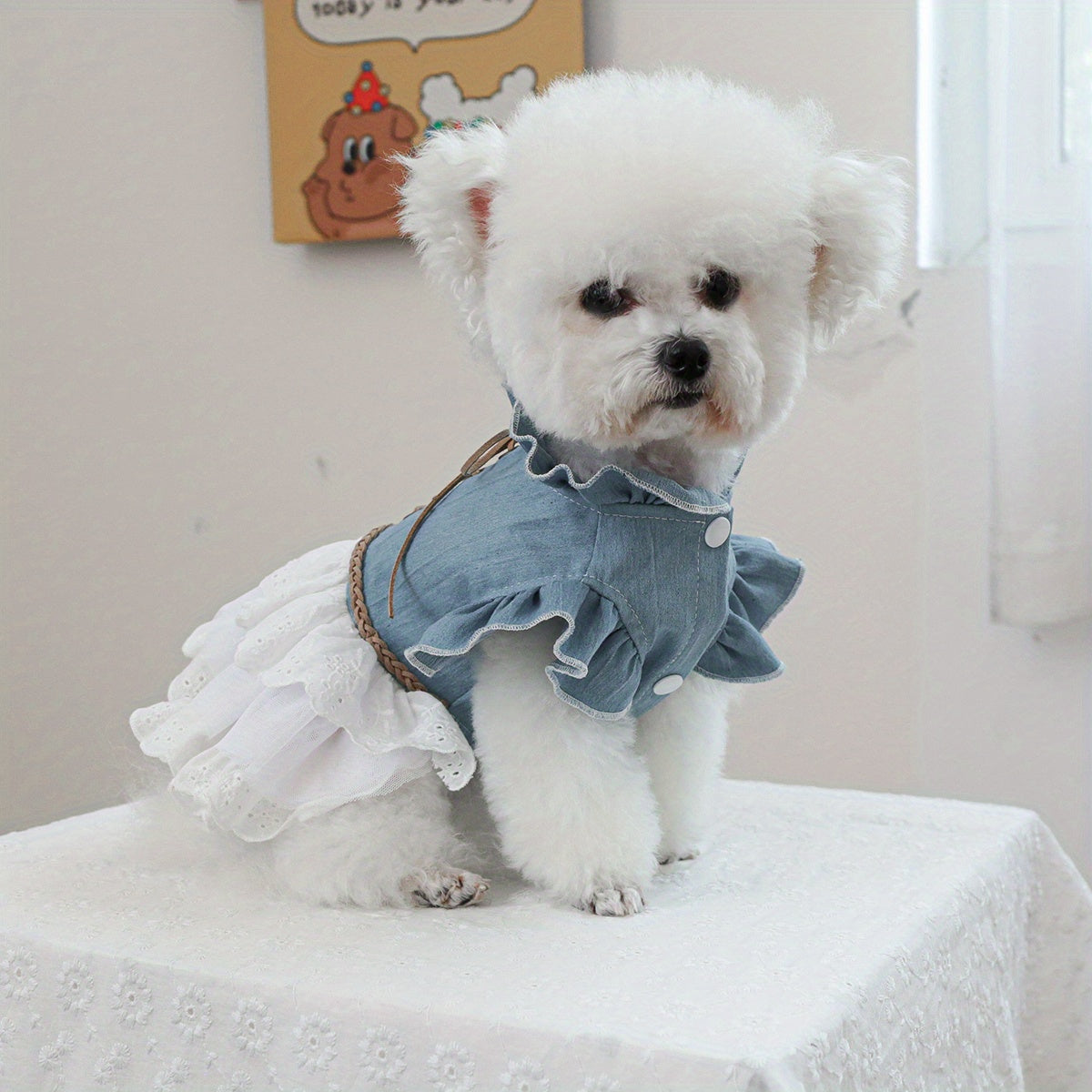 Stylish denim pet dress for small dogs and cats in blue with white fur, ruffled skirt, and lace detail. Ideal for Teddy, Bichon, Pomeranian puppies. Great gift for autumn/winter fashion.