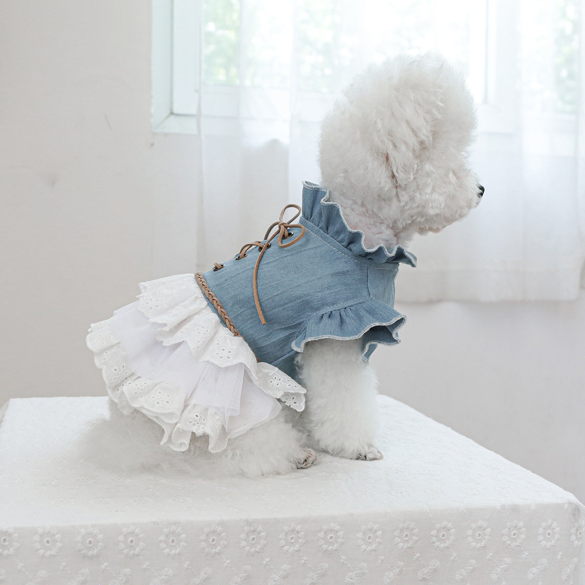 Stylish denim pet dress for small dogs and cats in blue with white fur, ruffled skirt, and lace detail. Ideal for Teddy, Bichon, Pomeranian puppies. Great gift for autumn/winter fashion.