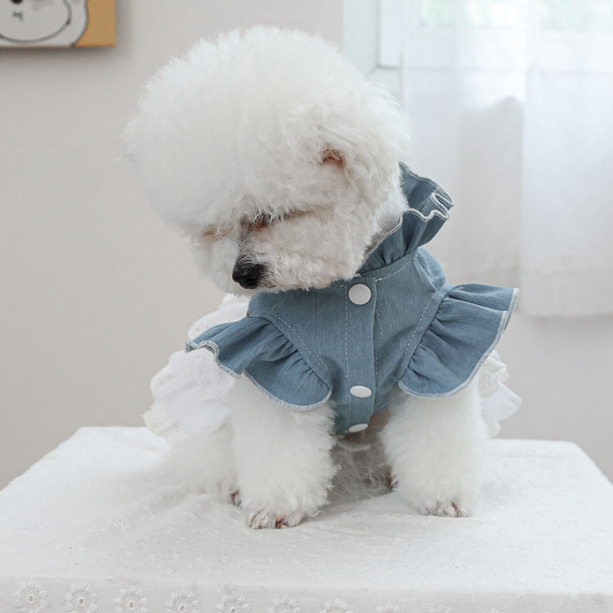 Stylish denim pet dress for small dogs and cats in blue with white fur, ruffled skirt, and lace detail. Ideal for Teddy, Bichon, Pomeranian puppies. Great gift for autumn/winter fashion.