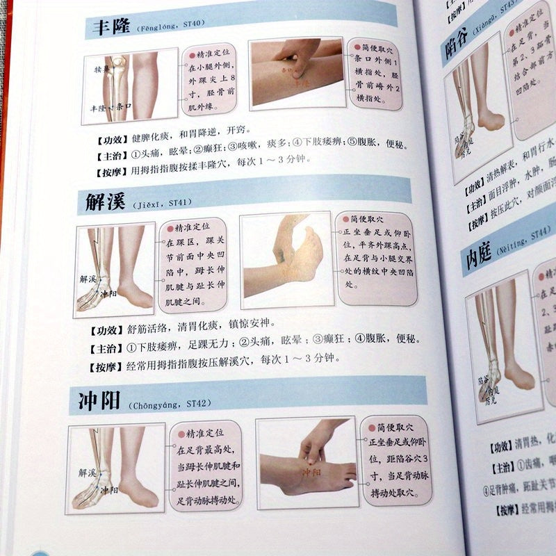 Complete guide to acupuncture points and meridians in the human body, with a focus on traditional Chinese medicine.