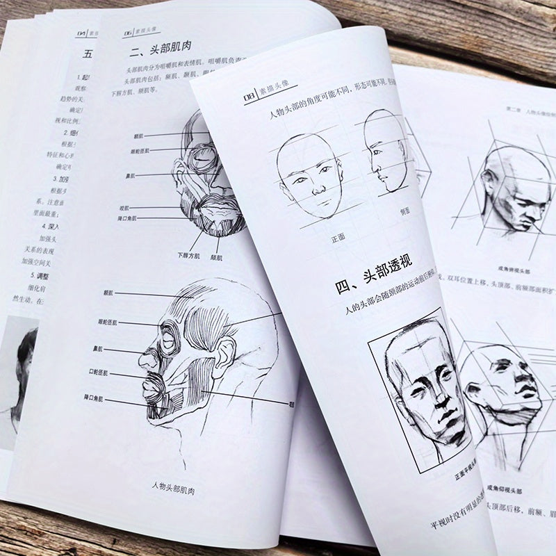 Basic techniques for drawing head portraits: Chinese version