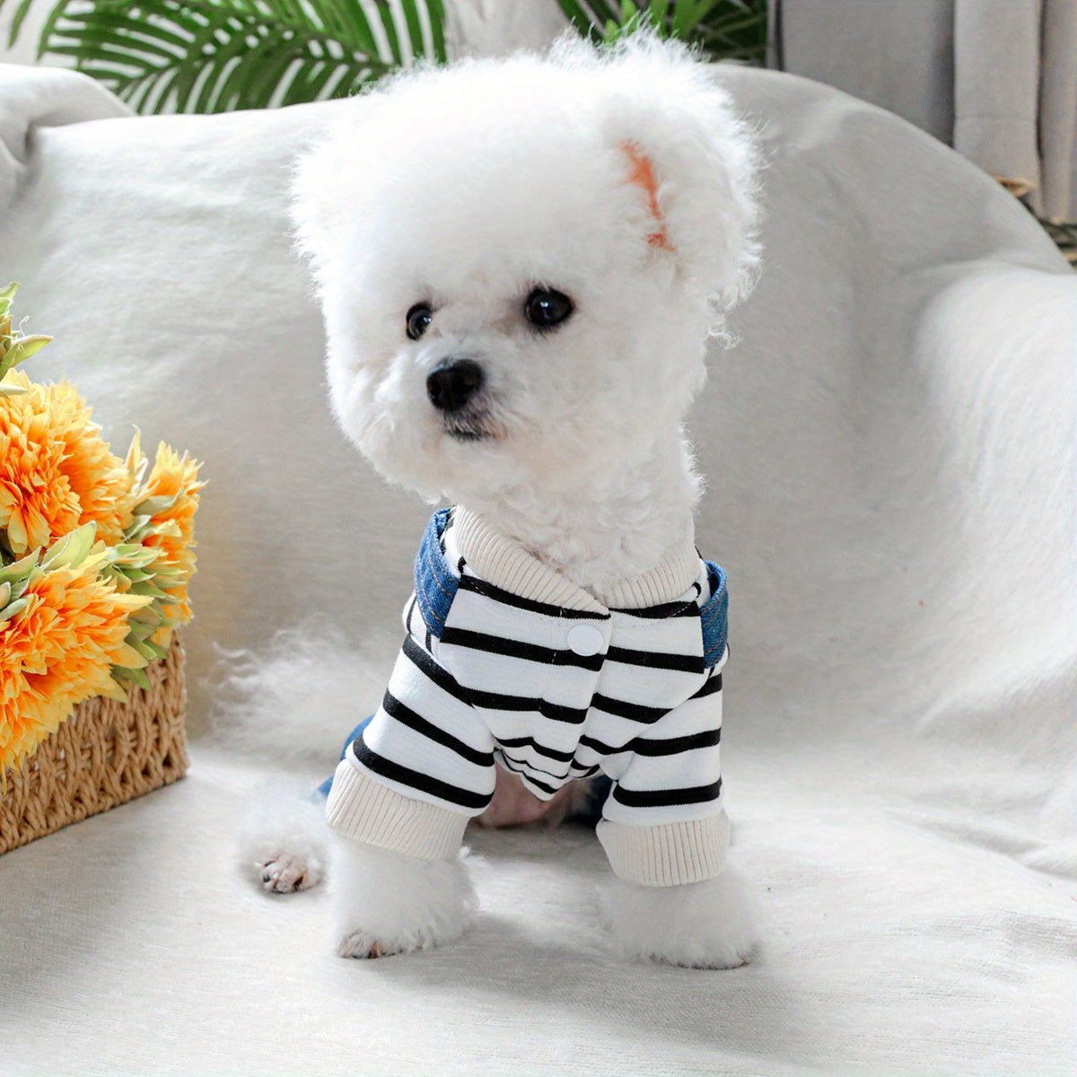 Striped denim jumpsuit for small breeds like Pomeranians and Yorkies, with easy snap closure. Ideal for all seasons.