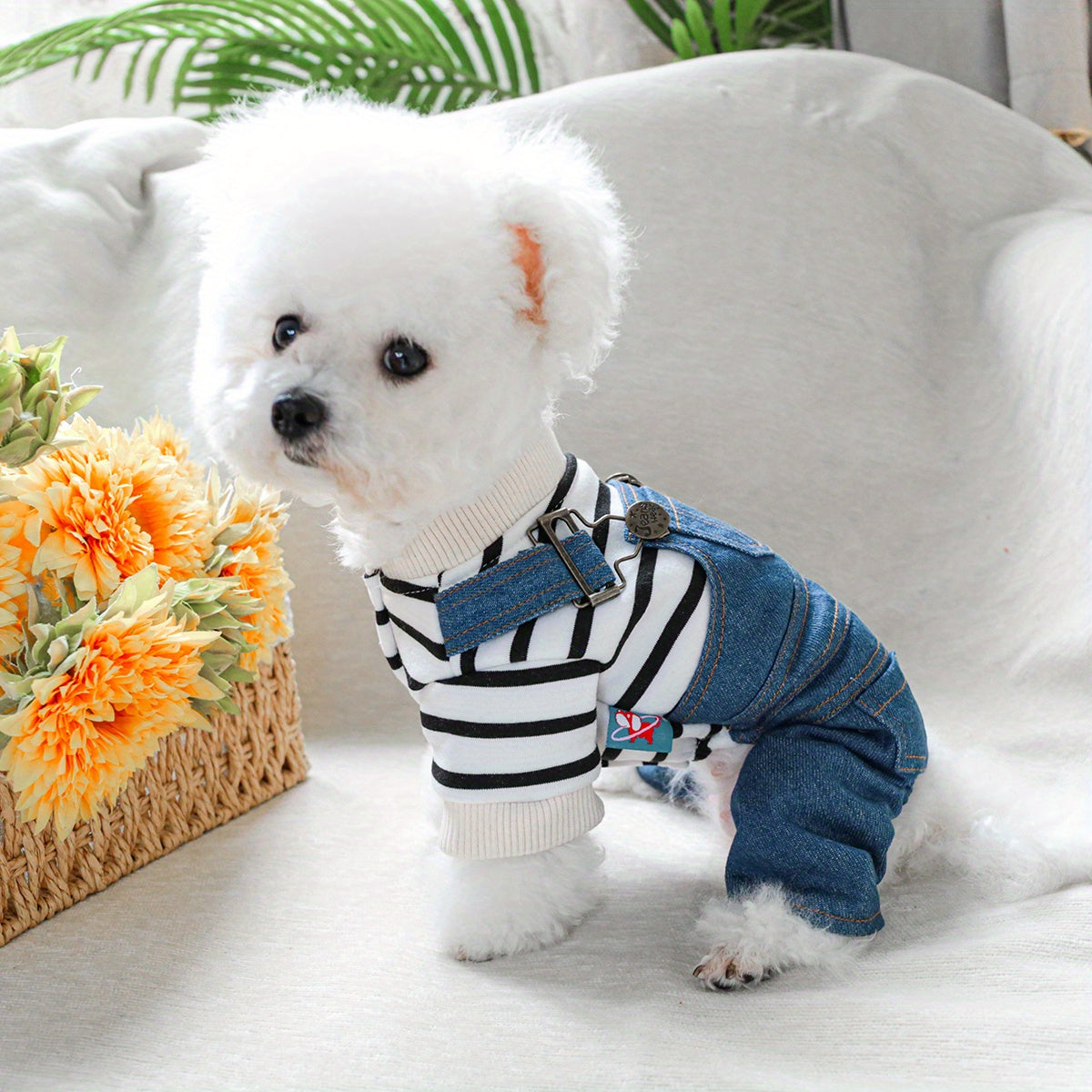 Striped denim jumpsuit for small breeds like Pomeranians and Yorkies, with easy snap closure. Ideal for all seasons.