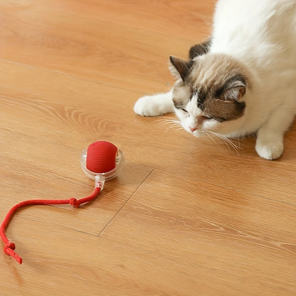 Interactive cat toy with USB charging and long tail - suitable for all breeds; enhances observation and playtime fun.