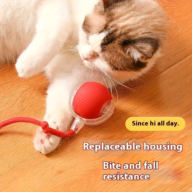 Interactive cat toy with USB charging and long tail - suitable for all breeds; enhances observation and playtime fun.