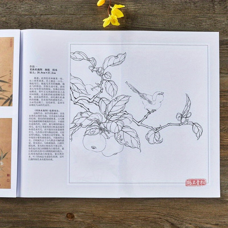 Chinese Painting Techniques Book featuring Song Dynasty bird and flower sketches, white outline drawing drafts, and color examples. A learning guide for art school, published by Tianjin