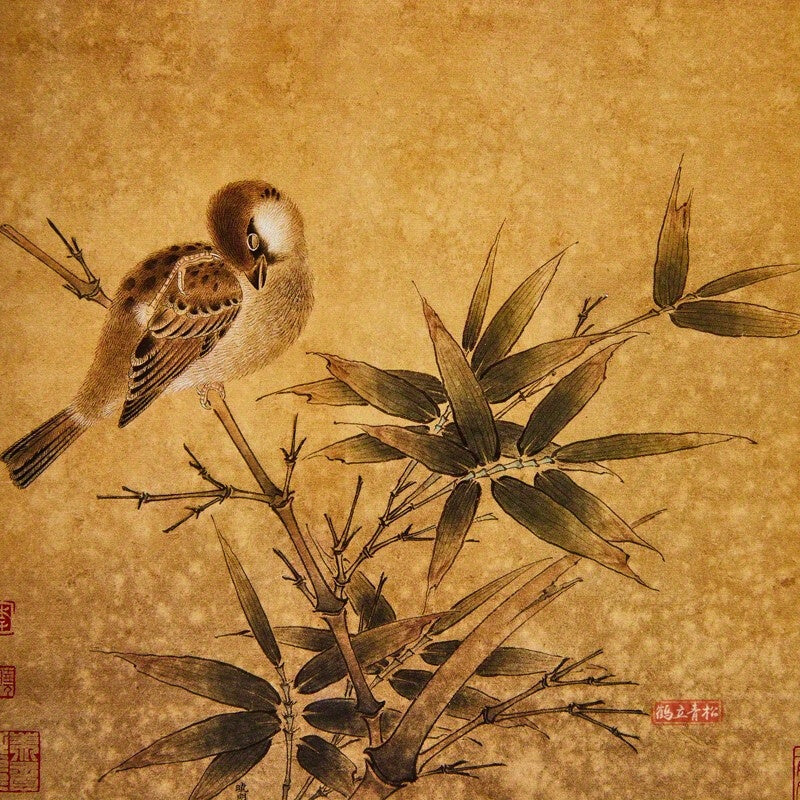 Chinese Painting Techniques Book featuring Song Dynasty bird and flower sketches, white outline drawing drafts, and color examples. A learning guide for art school, published by Tianjin