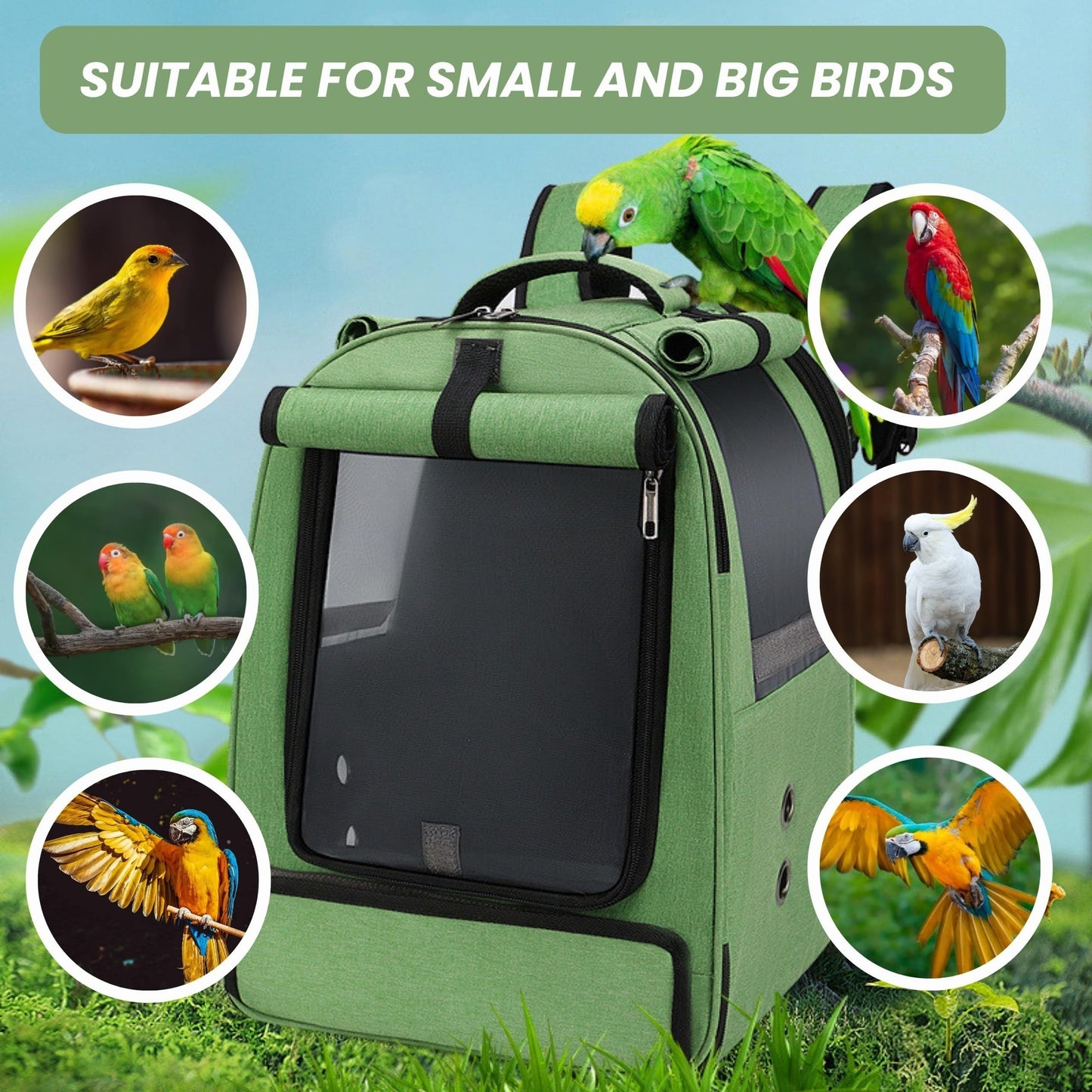 Portable bird travel backpack cage with accessories for African Greys and parrots, featuring 2 bowls, stand perch, zipper closure, and breathable mesh. Suitable for large and small birds.