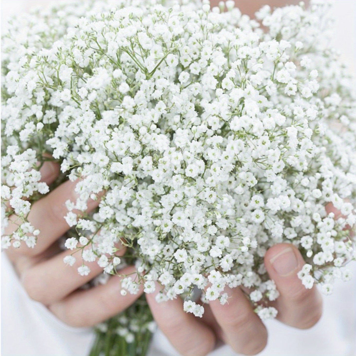 10 elegant white artificial baby's breath flowers with long UV-resistant stems for DIY floral arrangements and home decor, perfect for weddings, parties, and special occasions.