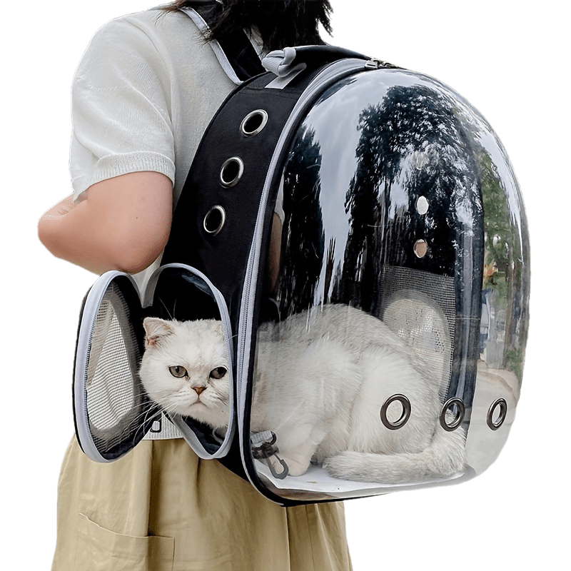 Clear acrylic cat backpack carrier with durable zippered pet capsule and breathable mesh for travel and outdoor use.