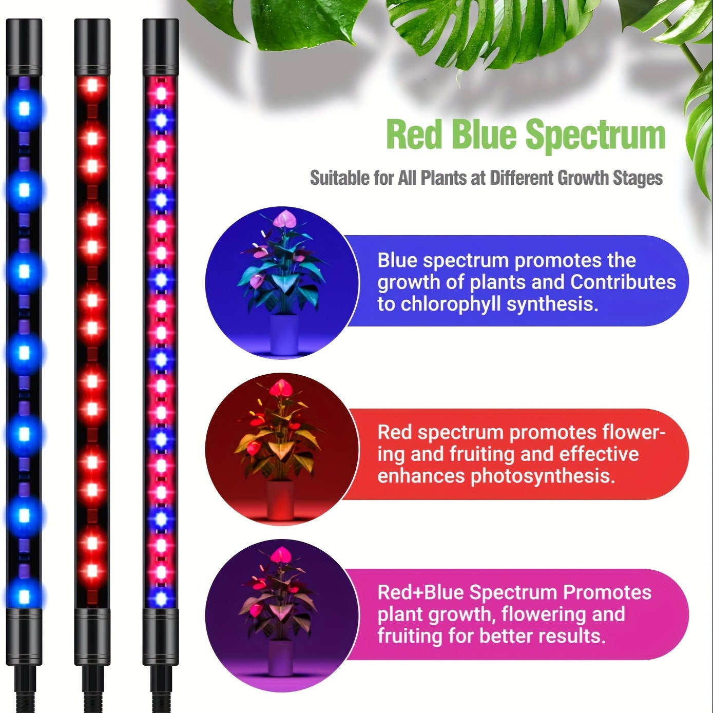 WTINTELL LED Grow Light with Stand - Full Spectrum, 10 Dimmable Levels, 3 Timer Modes, Adjustable Tripod (73.66-154.94cm) for Indoor Plants - USB Powered