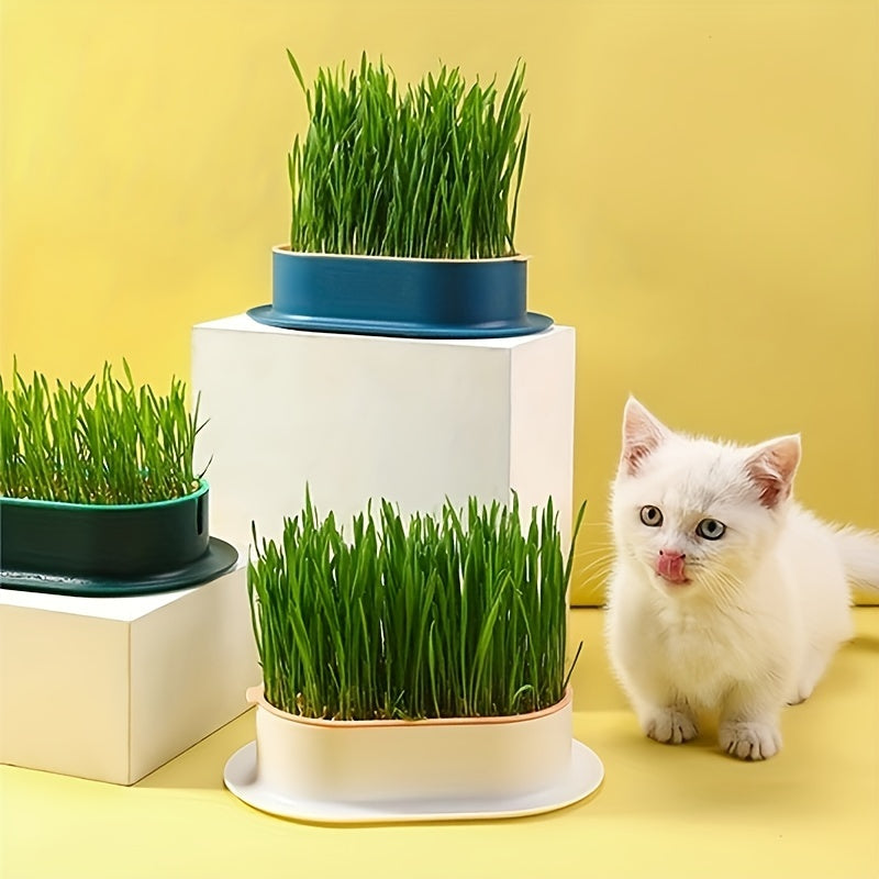 Cat grass planting box for hydroponics and seed sprouting trays.