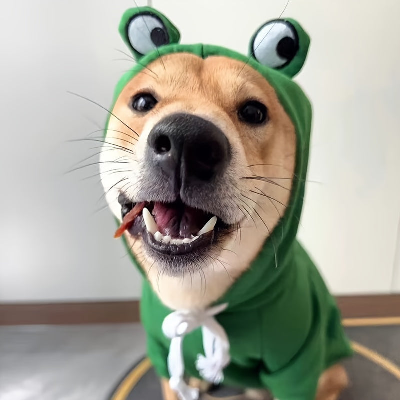 Cute frog-themed hoodie for small cats, suitable for all seasons.