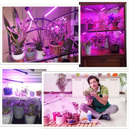 Achieve healthy indoor plant growth with this USB Phyto Lamp LED Grow Light!