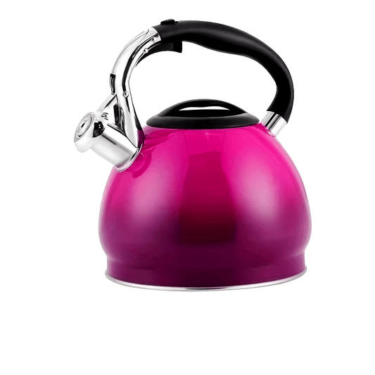 Whistling Tea Kettle with Gradient Design - Suitable for Gas & Induction Stoves, Great for Home, Office, and Restaurant. Crafted from Stainless Steel.