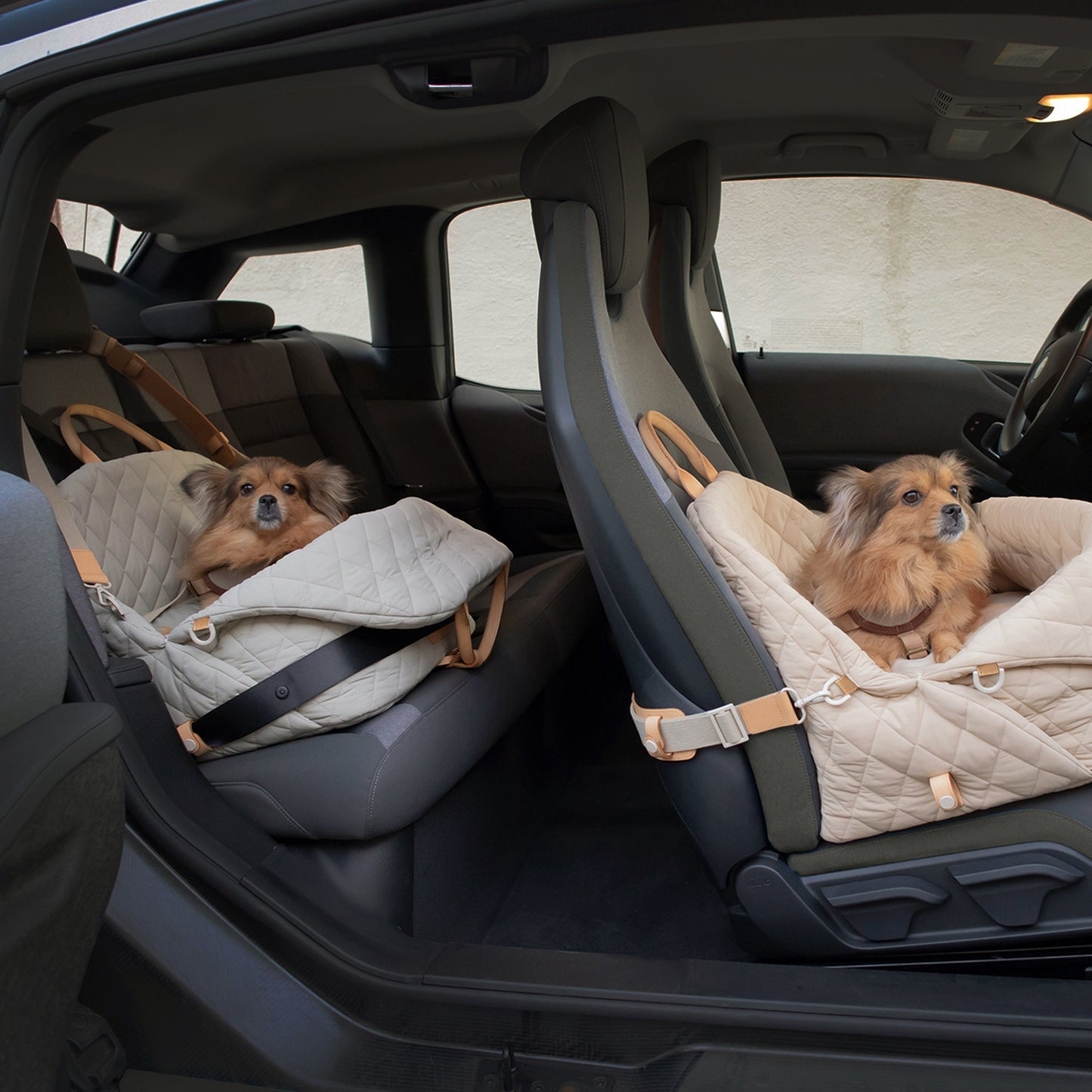 Versatile pet carrier bag doubles as a dog car seat for safe travel with a harness attachment. Carry your dog or cat securely.