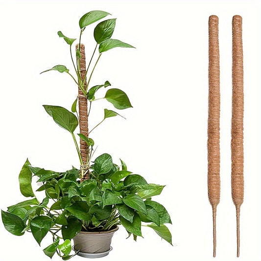 2 Moss Poles for indoor plants to climb, each with flexible plant pole holders.