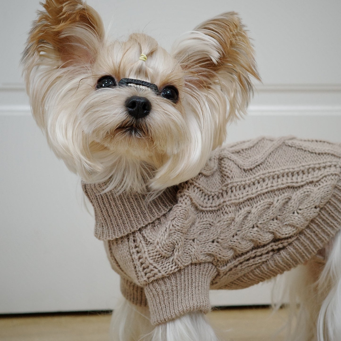 Warm and soft knit dog hoodie with floral design, suitable for all seasons and machine washable, ideal for small to large breeds. Perfect for winter and spring.