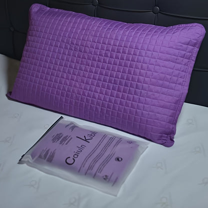 2 Ta Yengil Ko'k Qopqoq Pillow - Sayohat va Kamping uchun Ideal, Konvert Yopilishi, Oson Parvarish, Rang O'zgarmaydi, Polyester Tolasi.