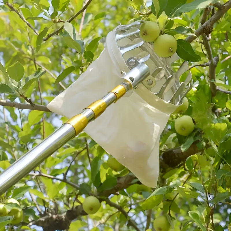 Durable stainless steel fruit picking tool for harvesting apples, oranges, and pears. Enhanced safety features. Ideal gift for New Year or Valentine's Day.