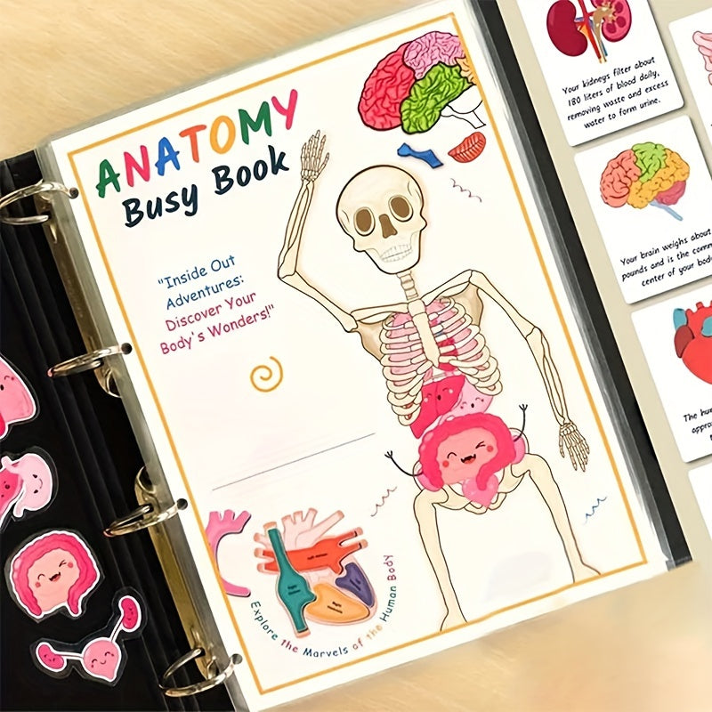 1pc Human Anatomy Busy Book - Interactive Organ Matching Activity, Educational Birthday Gift for All Ages, Quiet Travel Edition