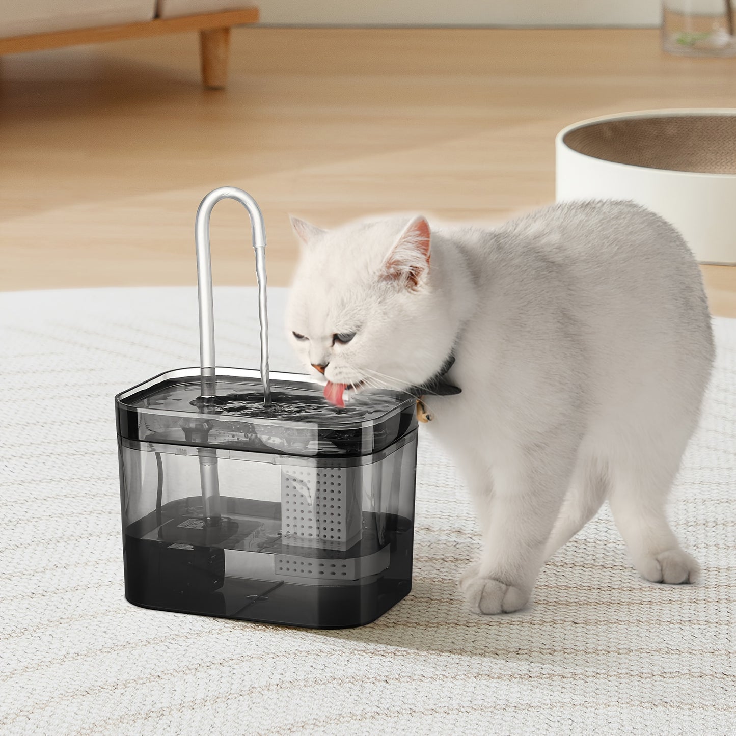 1.5L Cat Water Fountain with USB Power, Quiet Automatic Pet Drinking Dispenser with Circulating Filtration, ≤36V Safe Voltage.