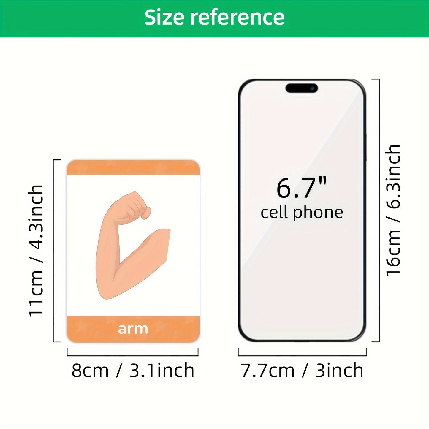 15 double-sided educational cards for recognizing 30 common body parts. Interactive learning toys for teachers and parents as basic teaching tools.