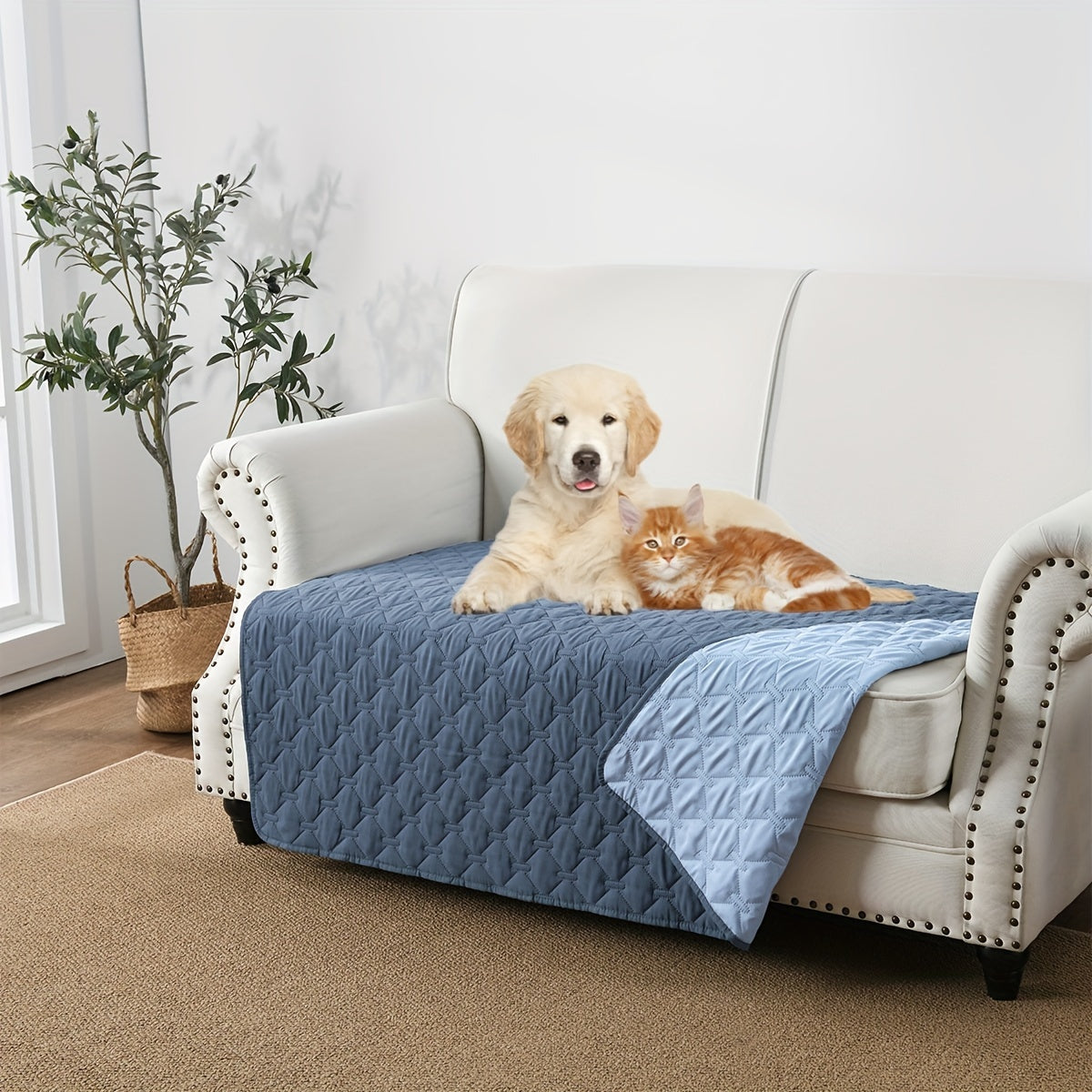 Waterproof pet blanket for dogs to protect sofa and furniture.