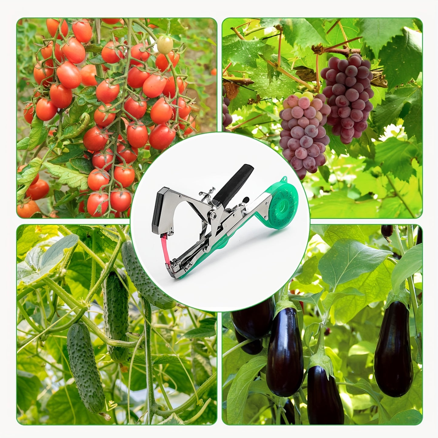 Adjustment machine set for grape and tomato vines, tomato and cucumber planting, rose roadside green plants, and fixing various stem and vine plants. Durable set includes 10 rolls of tape