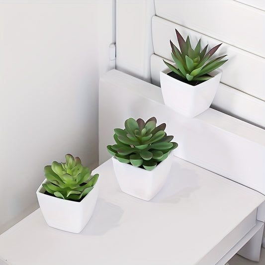 Artificial succulent plants in mini pots, perfect for indoor decoration in offices or rooms.