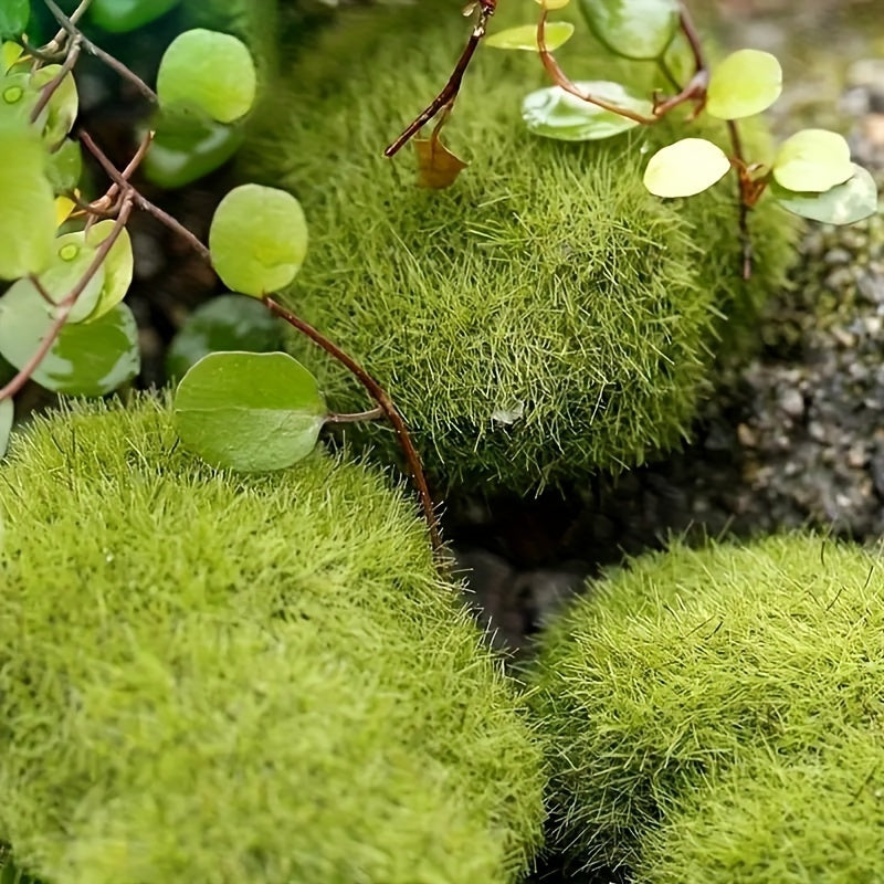 10 pieces of simulated moss green grass miniature decor - ideal for DIY fairy gardens, aquariums, and outdoor spaces to enhance natural charm and aesthetics.