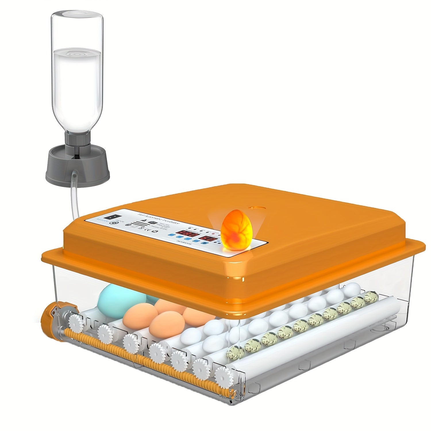 CoInceptus Automatic Egg Incubator with LED Display - Controls Humidity & Temperature, Holds 36 Eggs, Rotates Automatically, Includes Egg Light - Orange