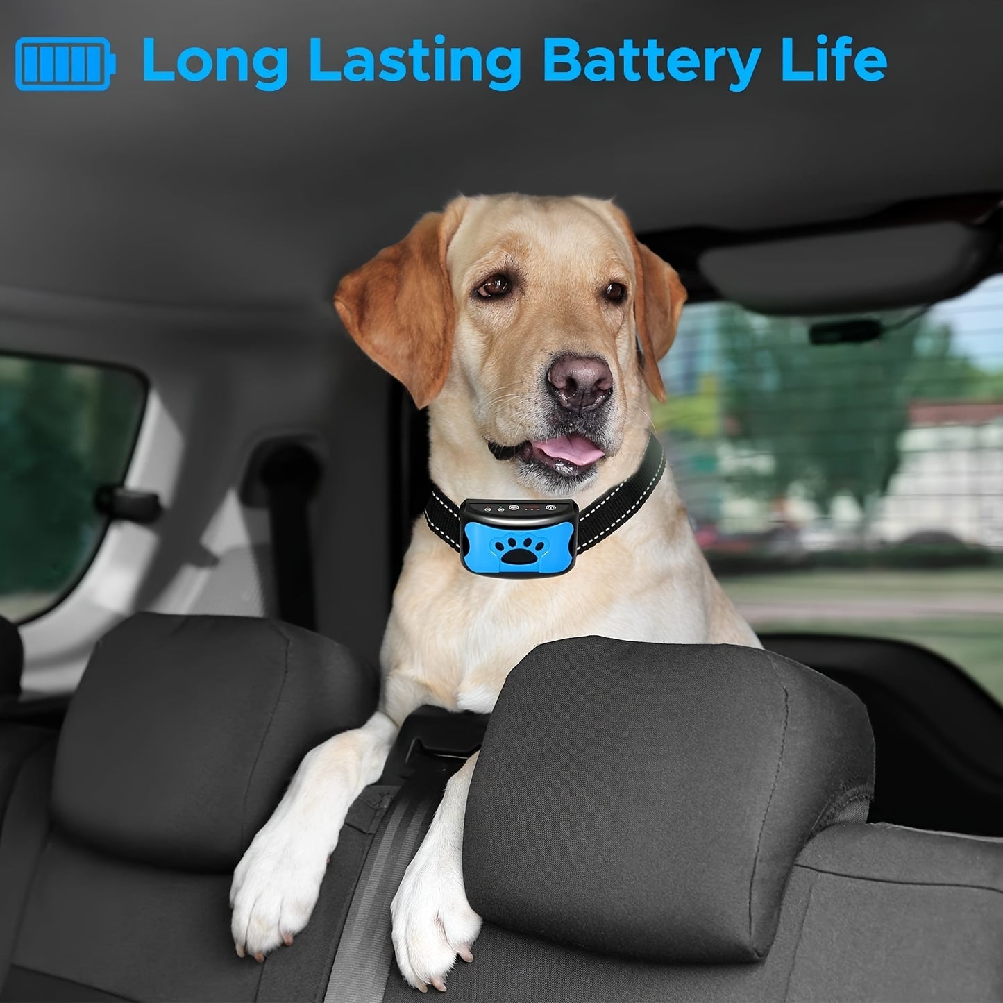 Rechargeable anti-barking dog collar with vibration training mode, USB charging, lithium polymer battery, and ≤36V operating voltage.