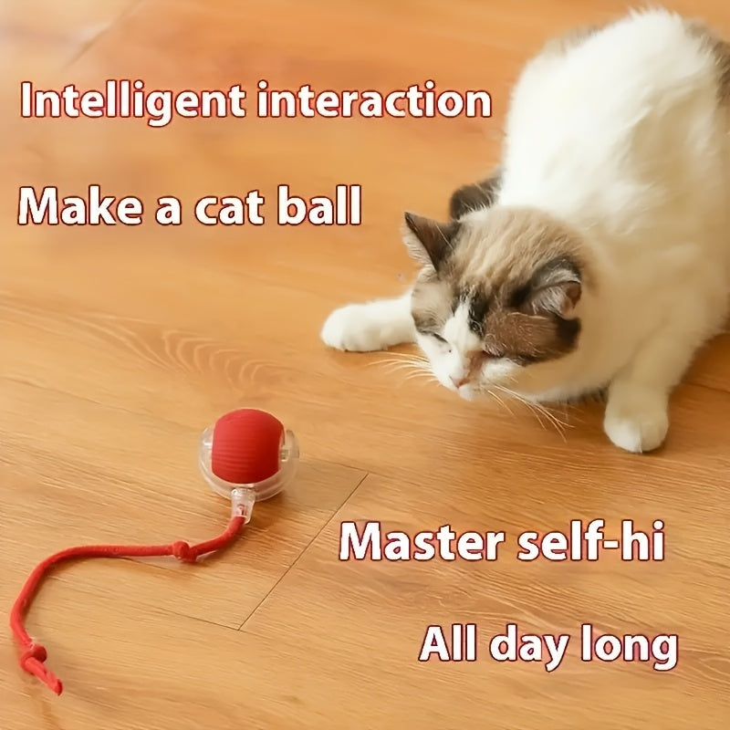 WhiskerWonders USB rechargeable interactive electric cat toy ball with sound, durable plastic, suitable for all breeds, powered by ≤36V lithium battery.