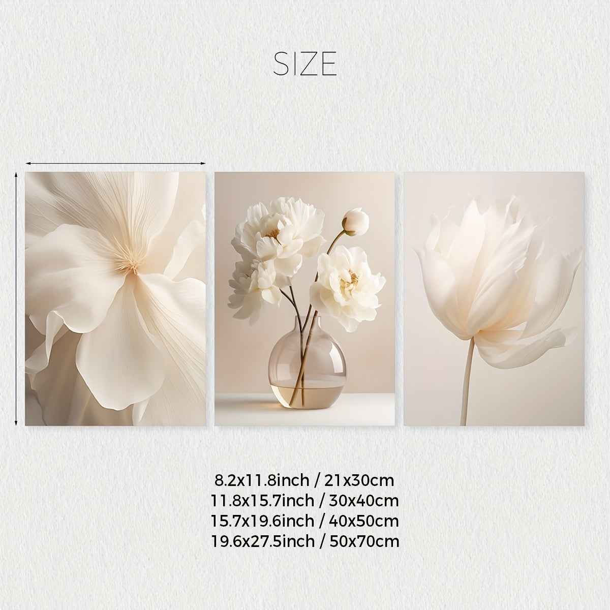 3 white peony flowers wall art prints for modern neutral decor in any room, unframed.