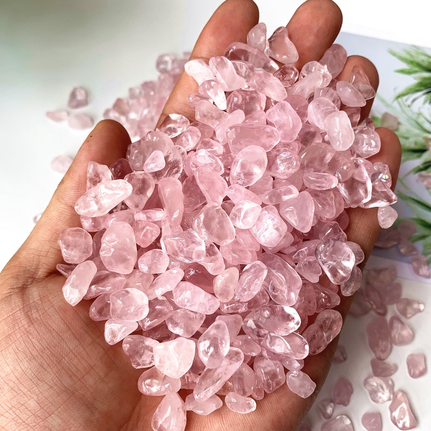 50g/100g Natural Rose Quartz Chips for Healing and Decoration in Plants, Flowerpots, Terrariums, and Fish Tanks.