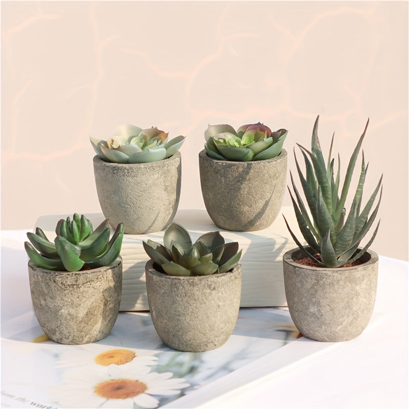 5 cross-border hot selling simulation succulent potted plants in paper pulp pots, bonsai desktop small ornament set.