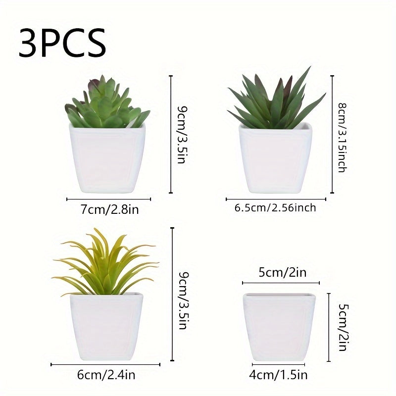 3 ta sun'iy abadiy sukulent bonsai uy bezash uchun, turli muhitlar uchun mos.