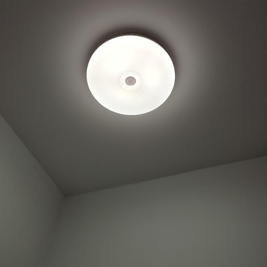 Modern LED Ceiling Light with PIR Motion Sensor, 12W Energy Saving Lamp for Living Room, Aisle.