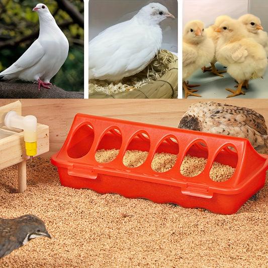 Rutin chicken feeder with anti-spray trough and 12-hole design for various birds.