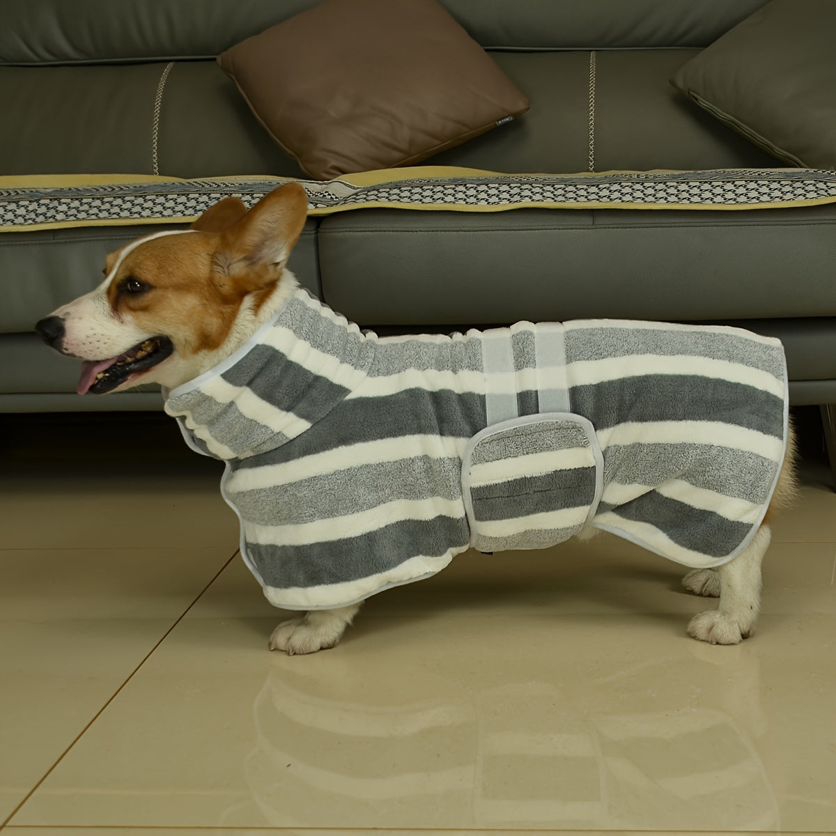 Drying dog robe that absorbs water quickly, suitable for baths, walks, and swimming.