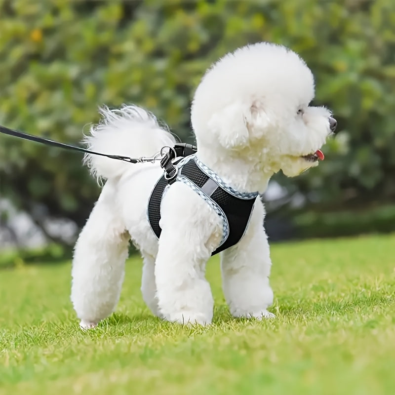 Breathable pet harness with leash, perfect for easy walks.