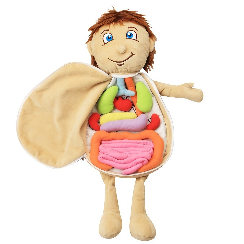 Enhance your child's understanding of anatomy with this engaging and educational puzzle apron! Perfect for Halloween, Thanksgiving, and Christmas gifts. Unlock the fun and learning potential today!